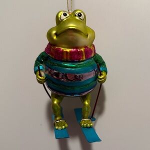 Colorful Frog Skiing Ornament - Christmas